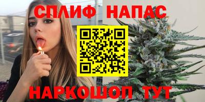spice Дубна