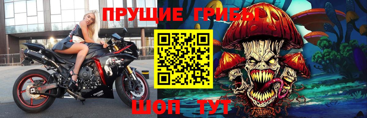 Галлюциногенные грибы мухоморы  Псилоцибиновые грибы мицелий  Михайловск  Вход с VPN 