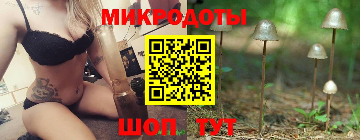 Галлюциногенные грибы Psilocybe Михайловск