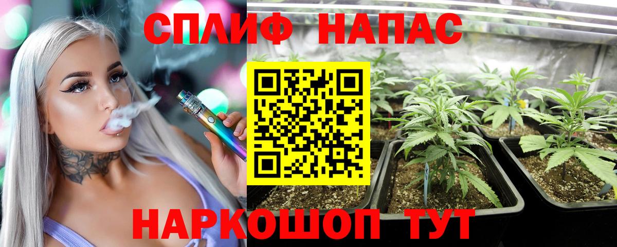 Михайловск  Шишки марихуана White Widow  Вход с VPN  Марихуана VHQ  Шишки марихуана семена  Шишки марихуана сатива 